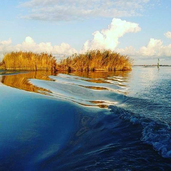 Hotel Oasi Di Arcadia Santa Giulia Zewnętrze zdjęcie